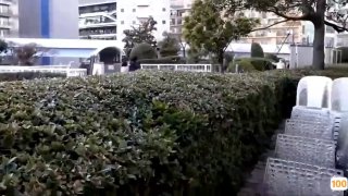 国产在线一级毛片_刚刚更新18禁成人视频